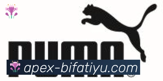 必发体育合作伙伴
